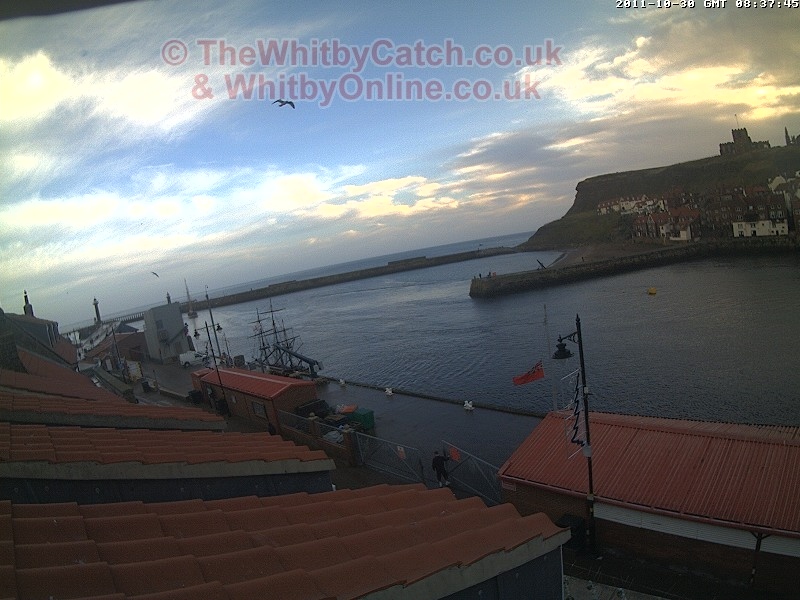 Whitby Sun 30th October 2011 08:24.