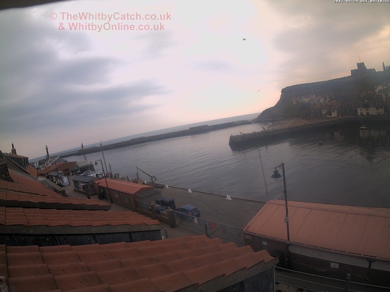Whitby Sat 29th April 2017 09:11.