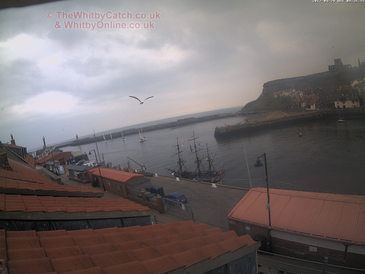 Whitby Sat 29th April 2017 09:36.