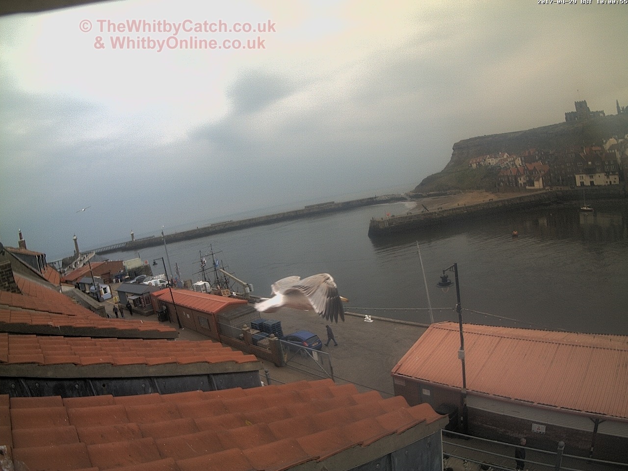 Whitby Sat 29th April 2017 10:01.