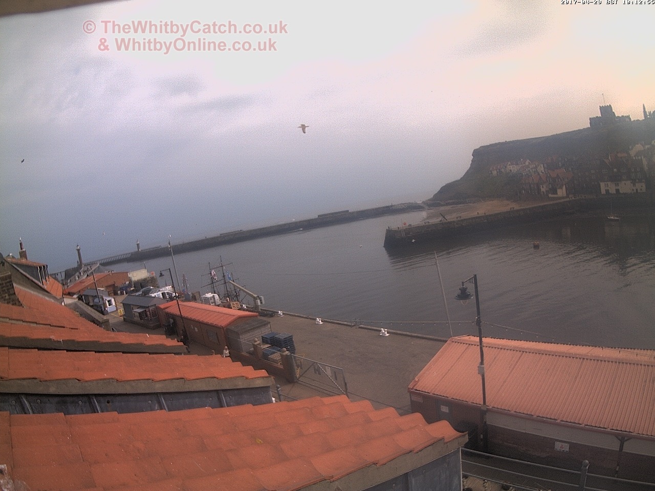 Whitby Sat 29th April 2017 10:13.