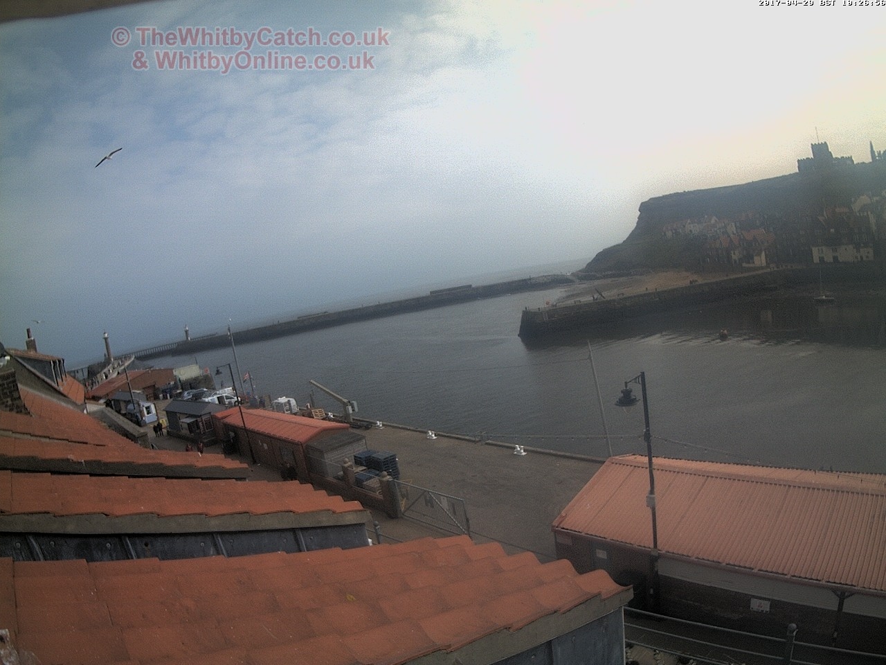 Whitby Sat 29th April 2017 10:27.