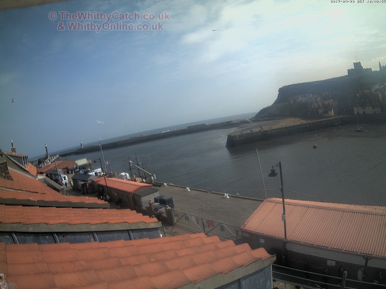 Whitby Sat 29th April 2017 10:50.