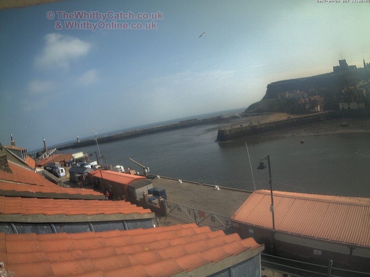 Whitby Sat 29th April 2017 11:07.