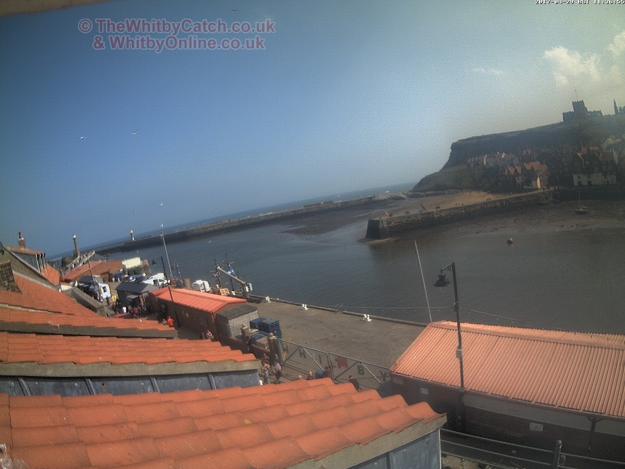 Whitby Sat 29th April 2017 11:37.