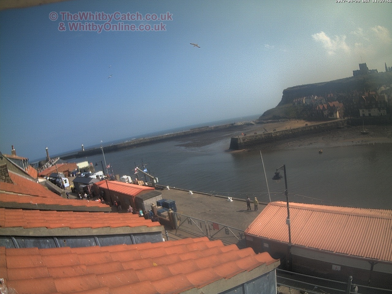 Whitby Sat 29th April 2017 11:38.