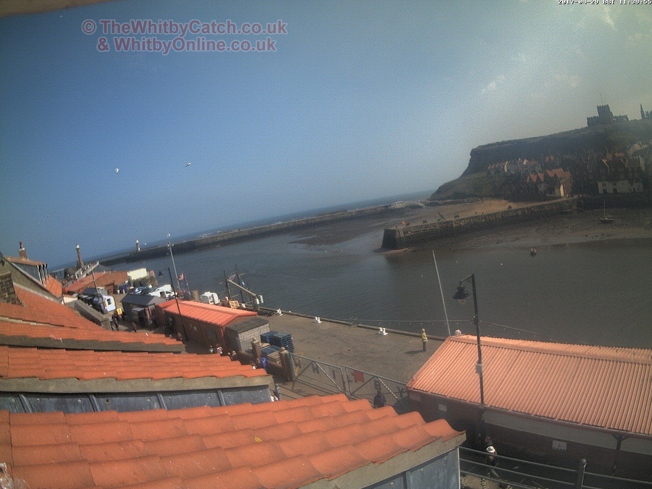Whitby Sat 29th April 2017 11:40.