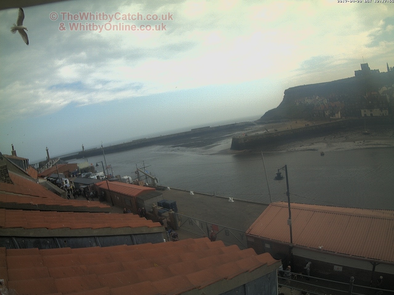 Whitby Sat 29th April 2017 12:18.
