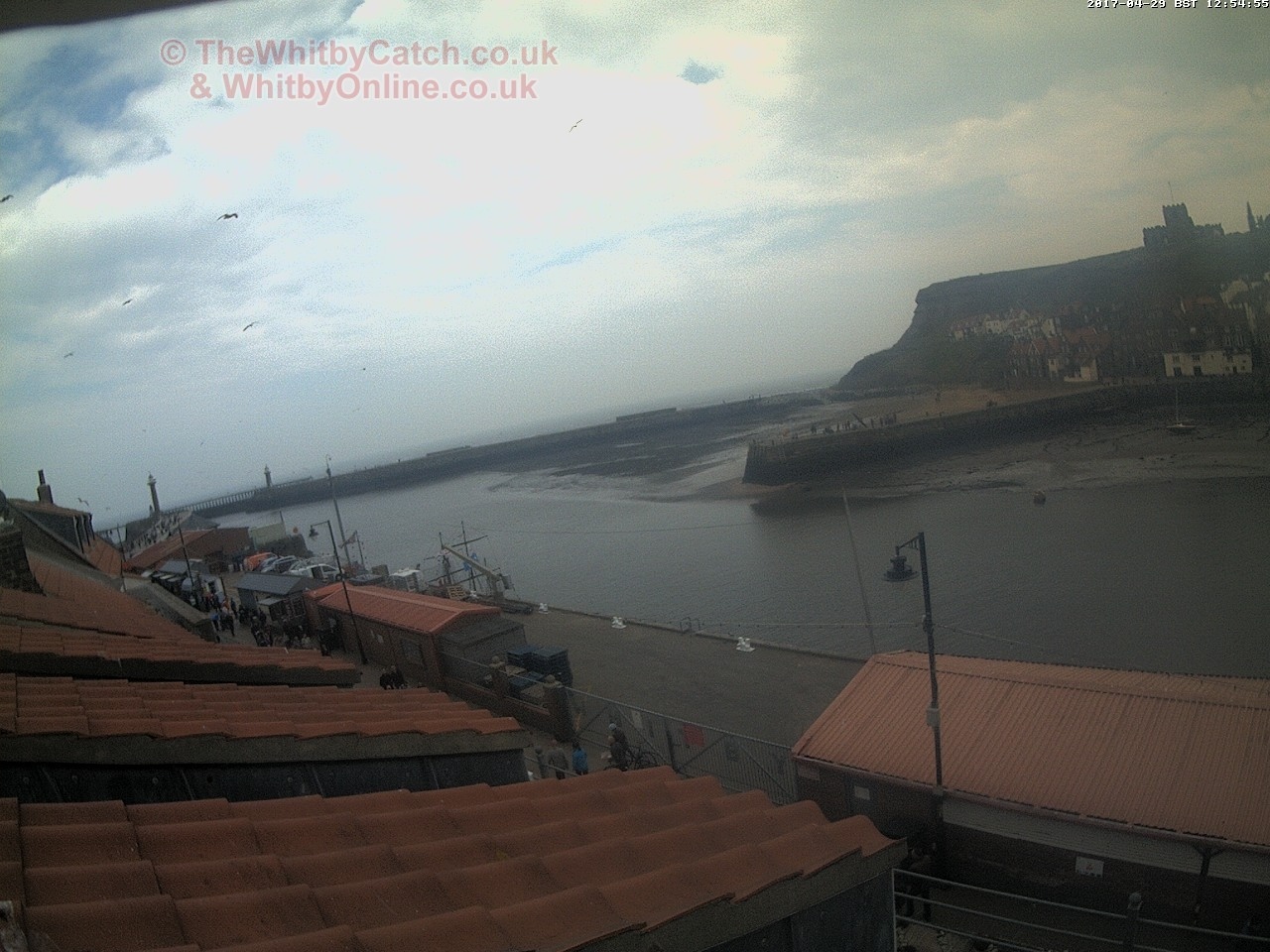 Whitby Sat 29th April 2017 12:55.