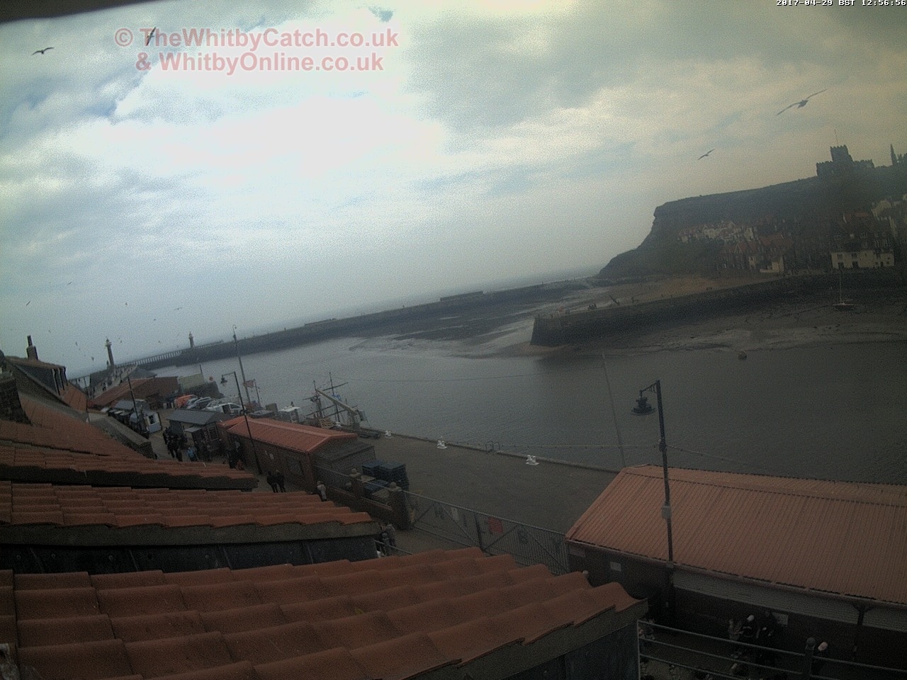 Whitby Sat 29th April 2017 12:57.