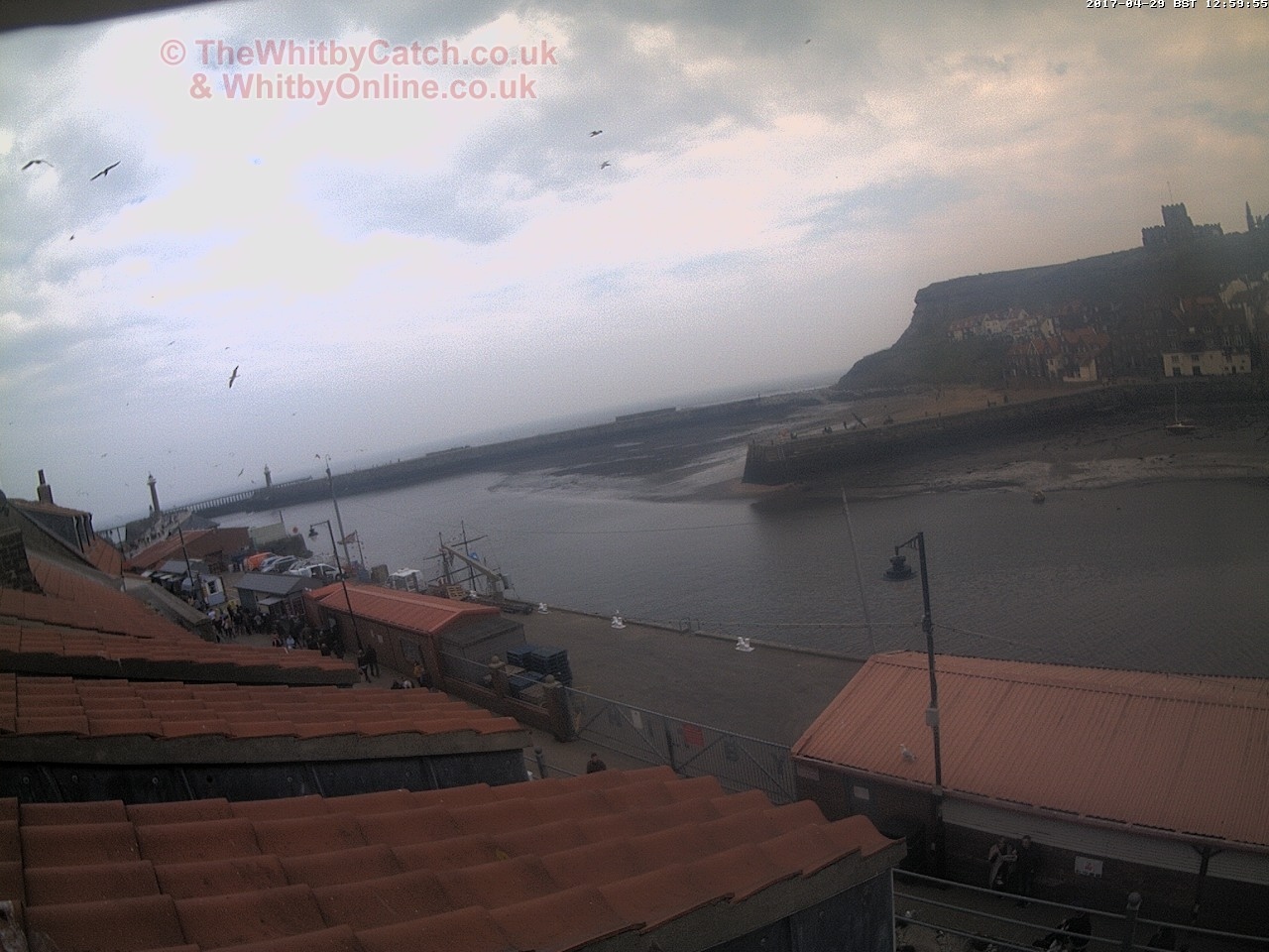 Whitby Sat 29th April 2017 13:00.