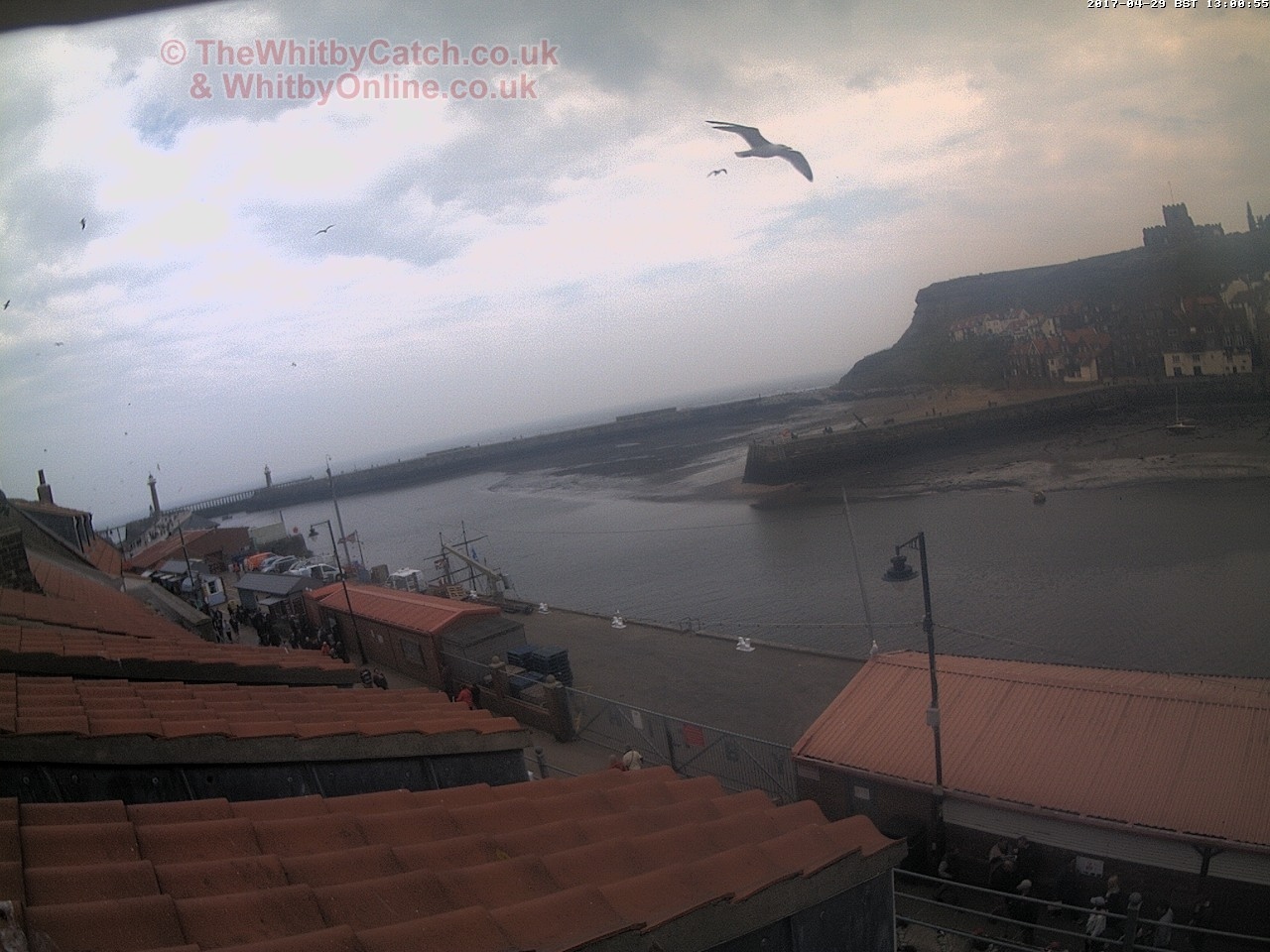 Whitby Sat 29th April 2017 13:01.