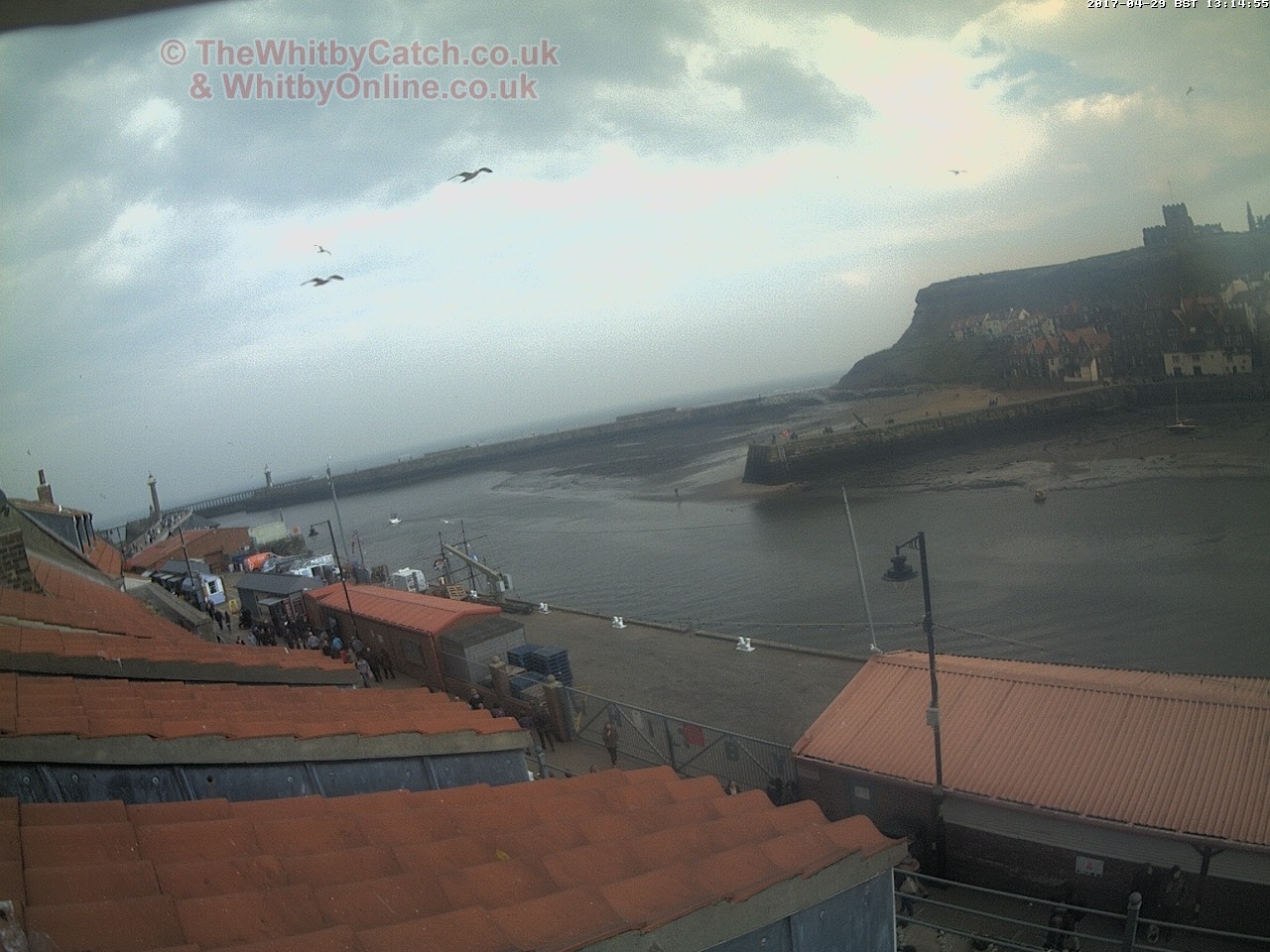 Whitby Sat 29th April 2017 13:15.