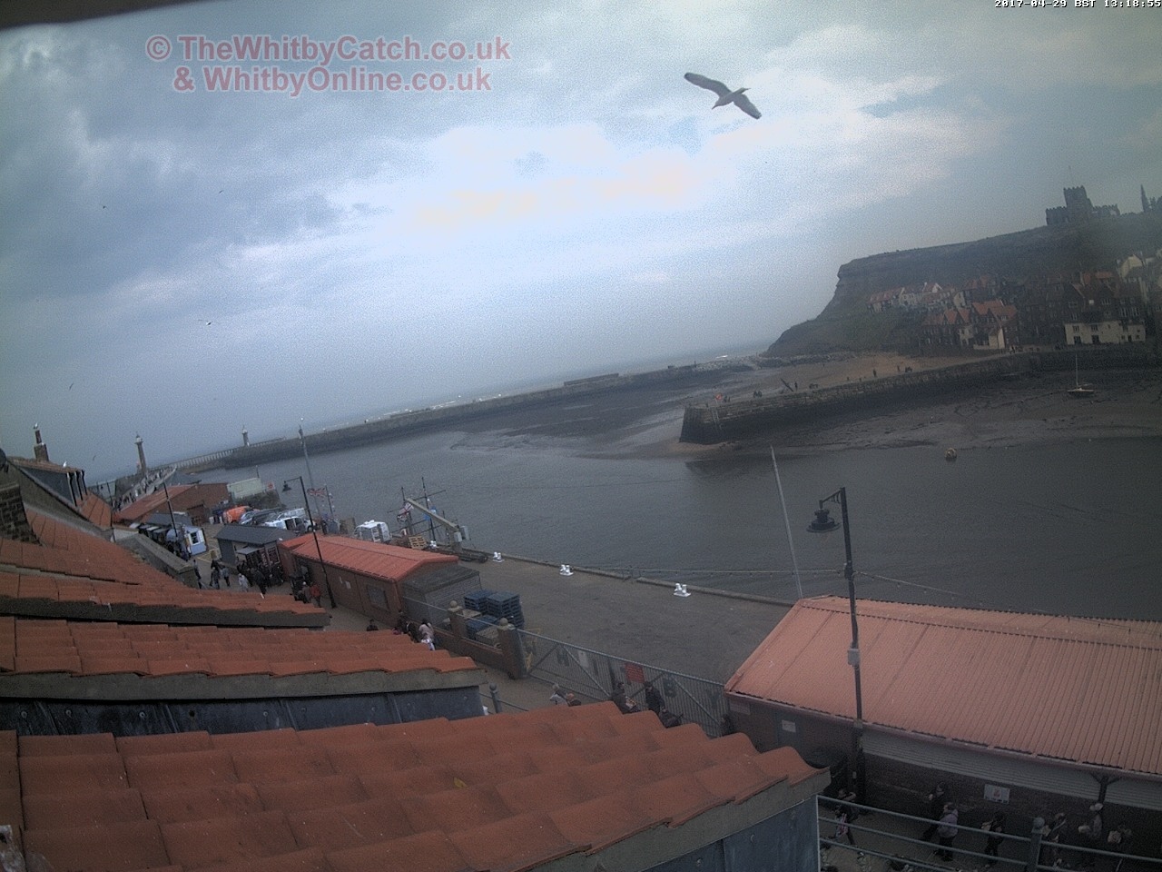 Whitby Sat 29th April 2017 13:19.