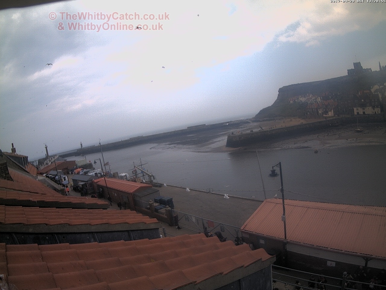 Whitby Sat 29th April 2017 13:29.