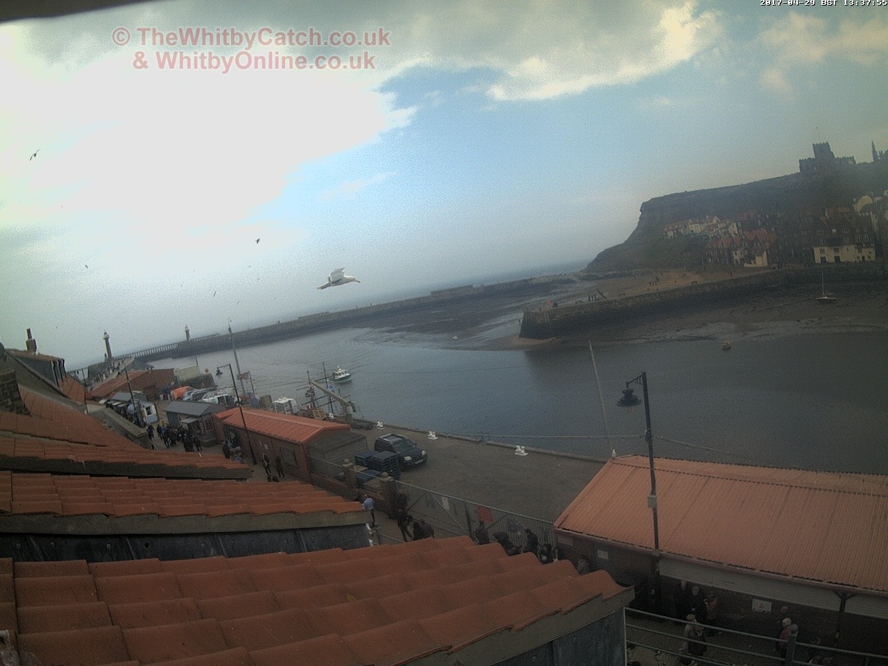Whitby Sat 29th April 2017 13:38.