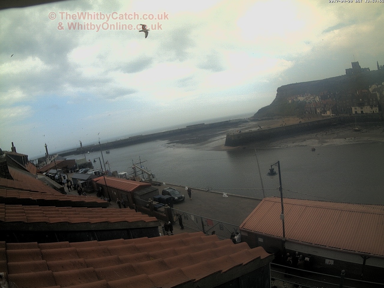 Whitby Sat 29th April 2017 13:58.