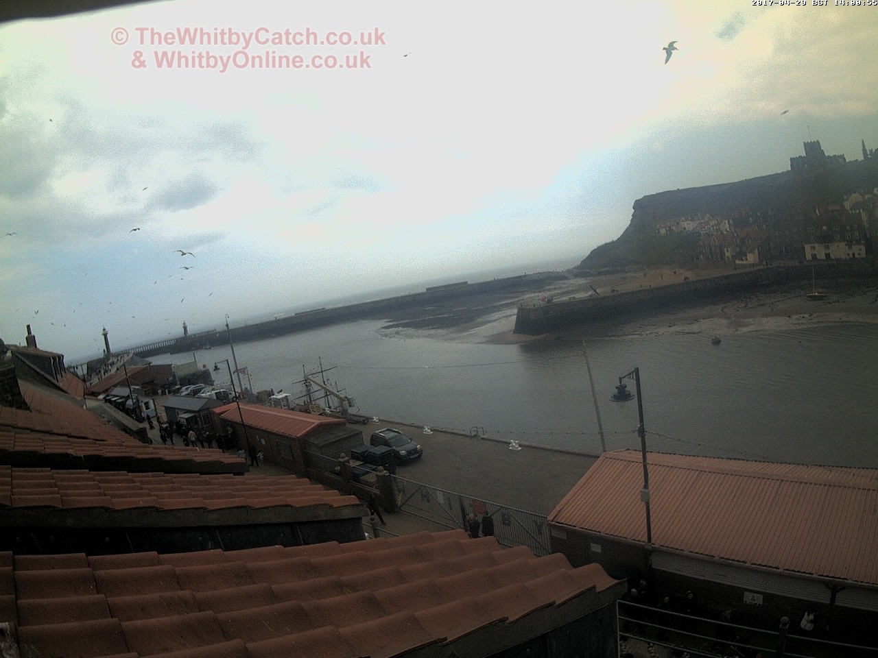 Whitby Sat 29th April 2017 14:01.
