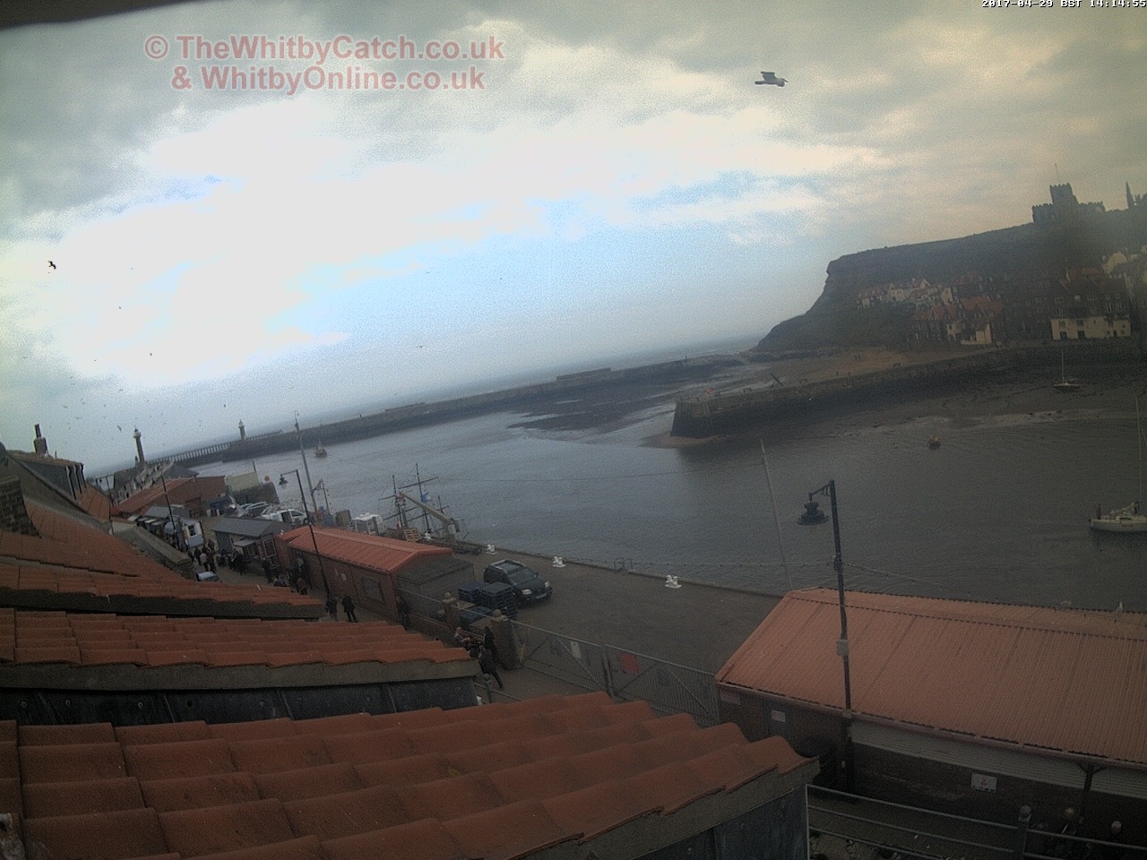 Whitby Sat 29th April 2017 14:15.