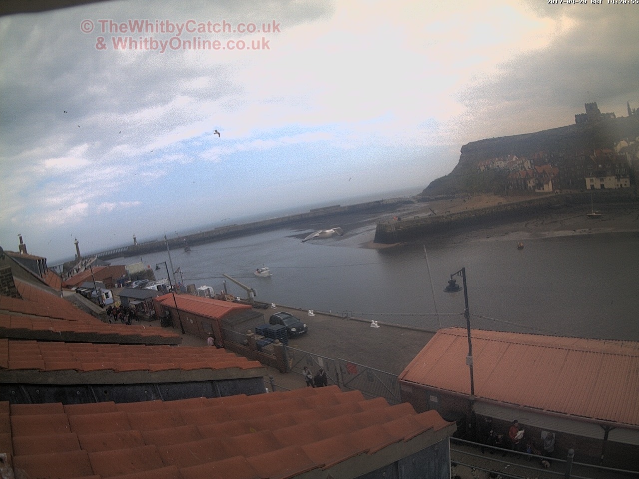Whitby Sat 29th April 2017 14:21.