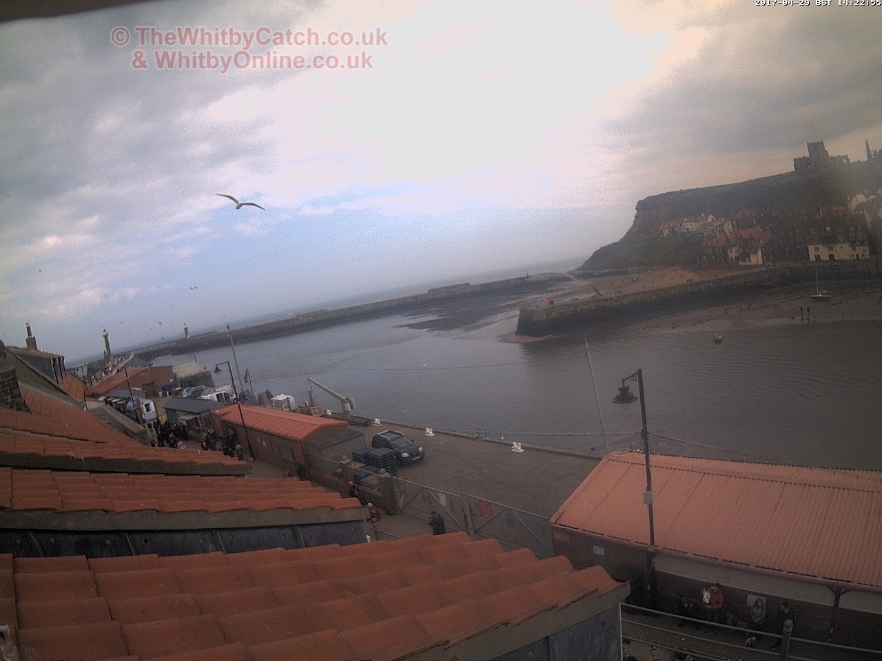 Whitby Sat 29th April 2017 14:23.