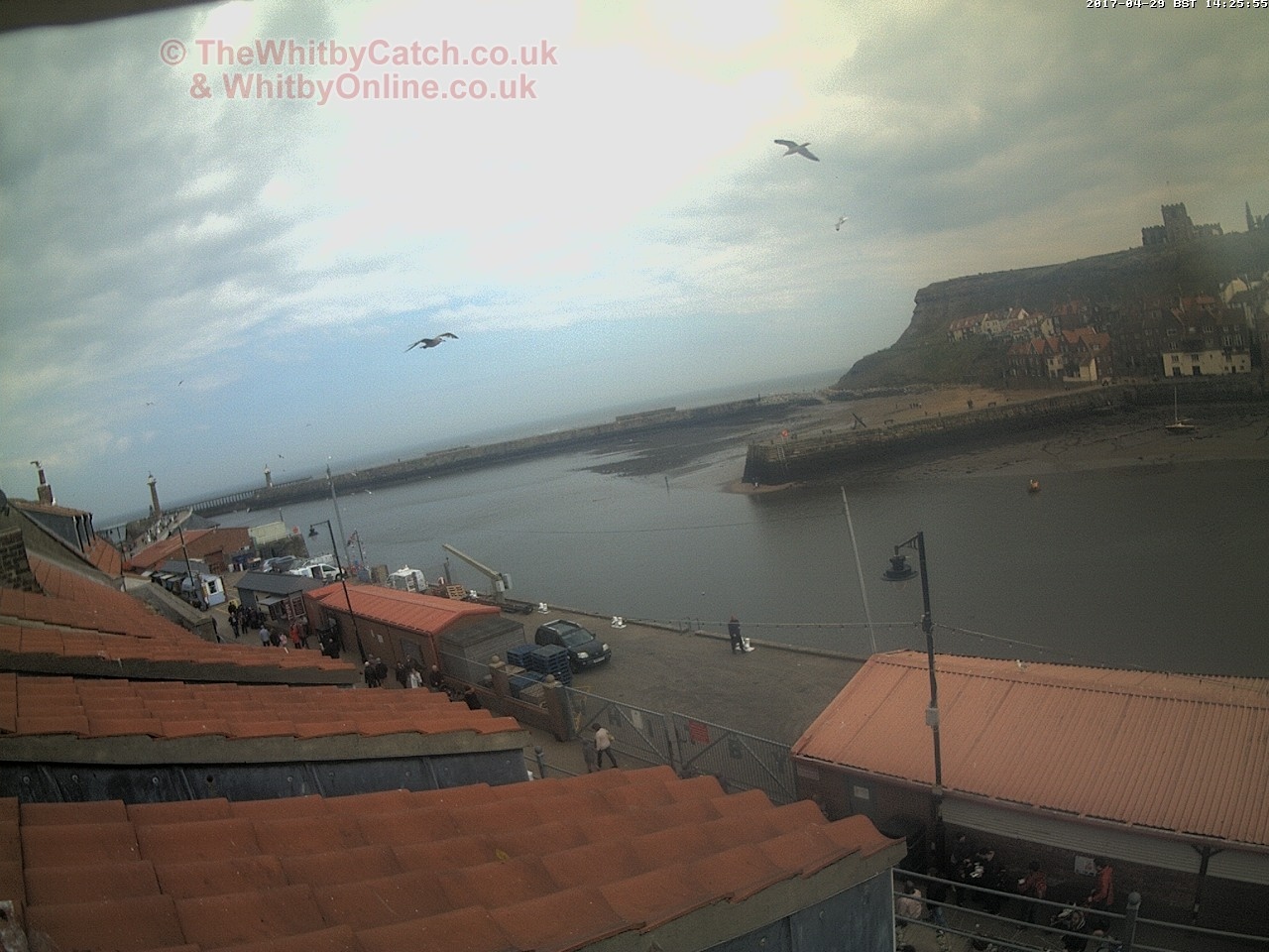 Whitby Sat 29th April 2017 14:26.