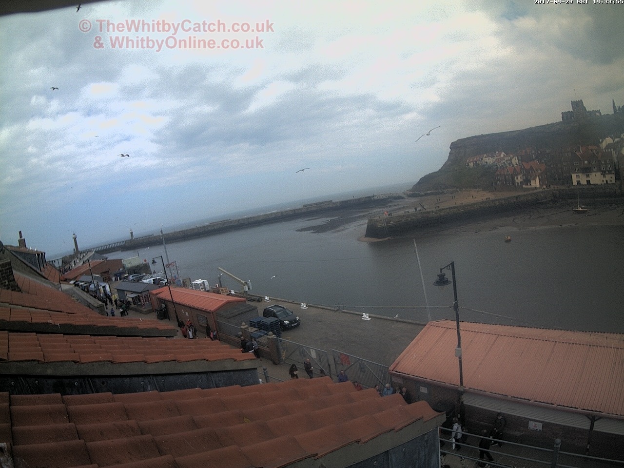 Whitby Sat 29th April 2017 14:34.