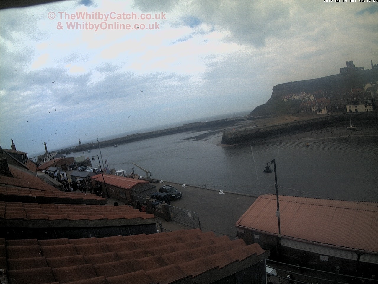 Whitby Sat 29th April 2017 14:38.