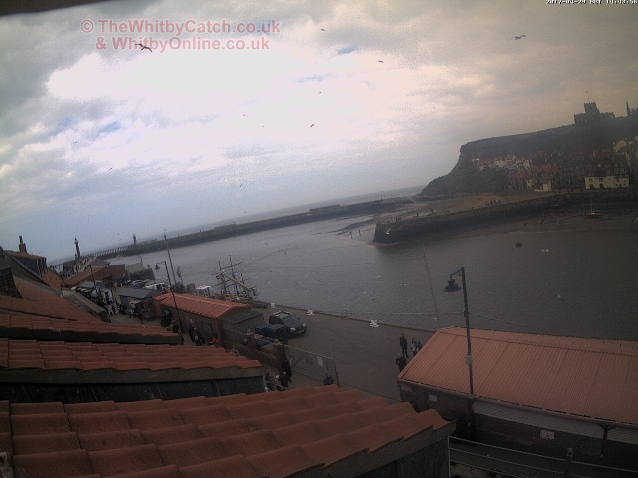 Whitby Sat 29th April 2017 14:44.
