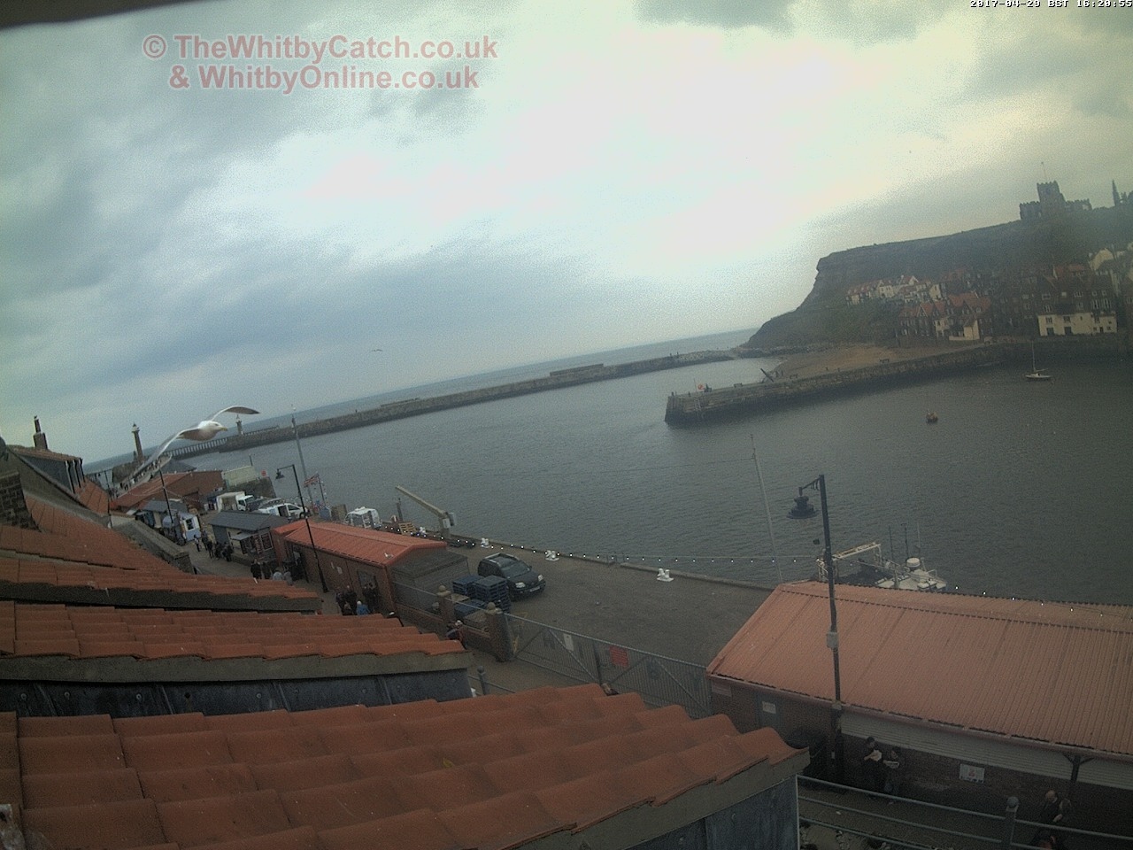 Whitby Sat 29th April 2017 16:21.
