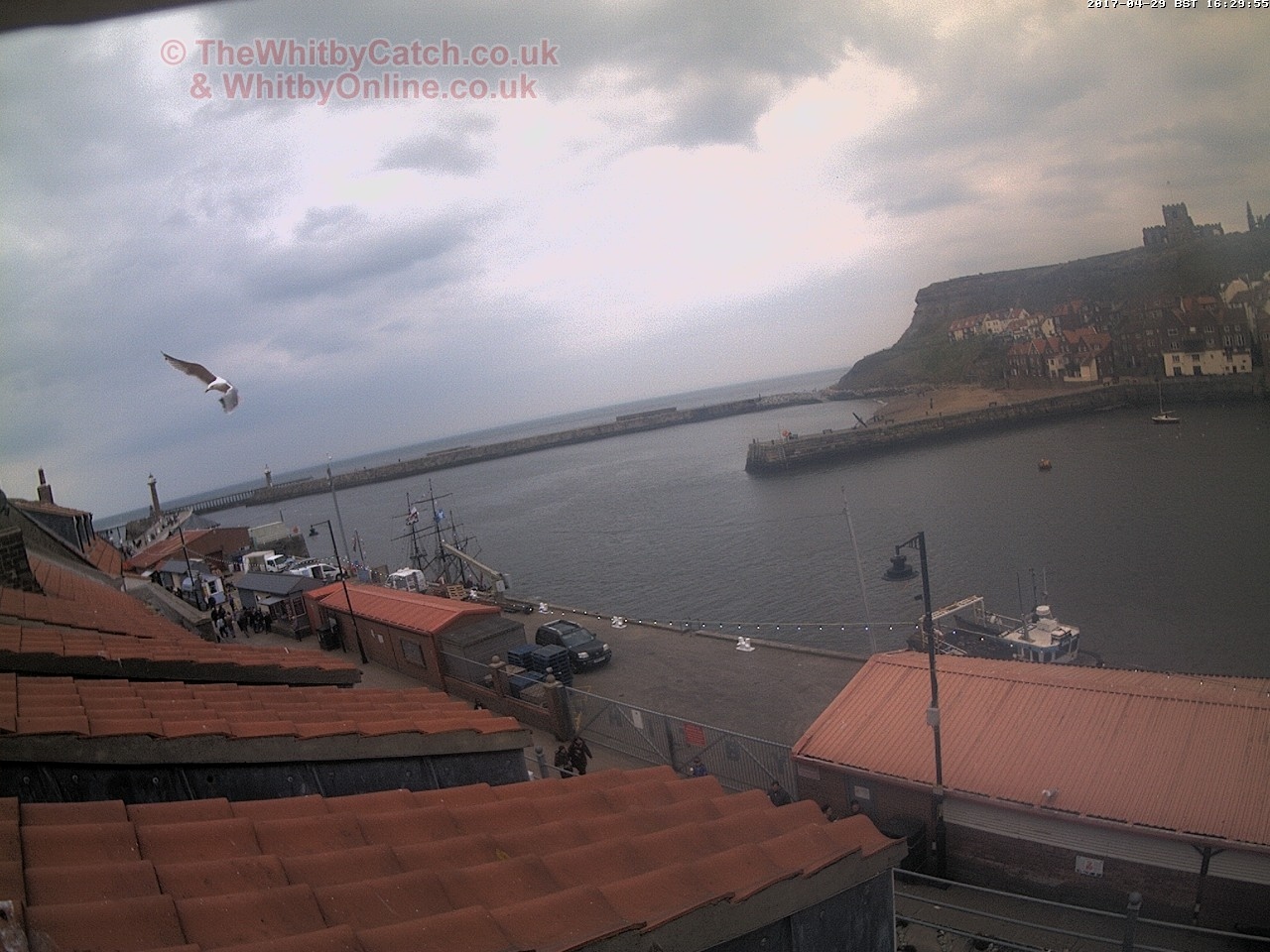 Whitby Sat 29th April 2017 16:30.