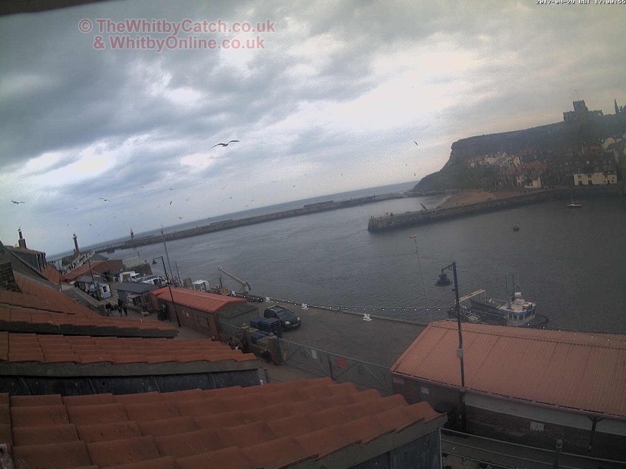Whitby Sat 29th April 2017 17:01.