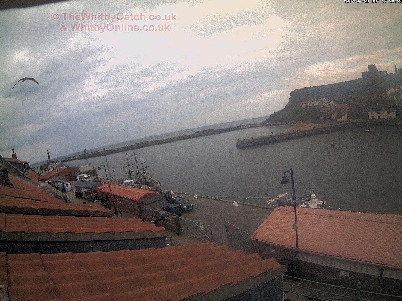 Whitby Sat 29th April 2017 17:30.