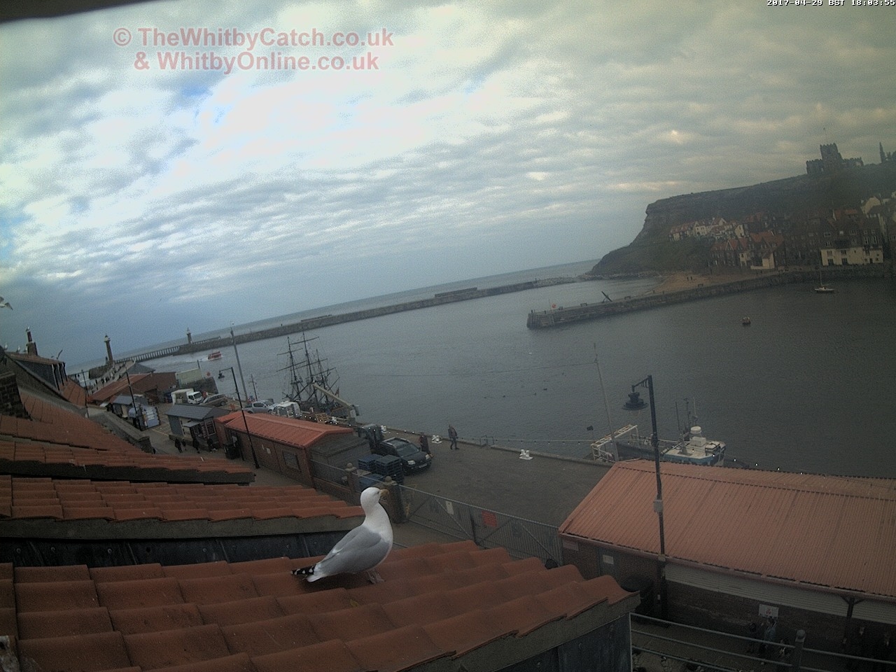 Whitby Sat 29th April 2017 18:04.