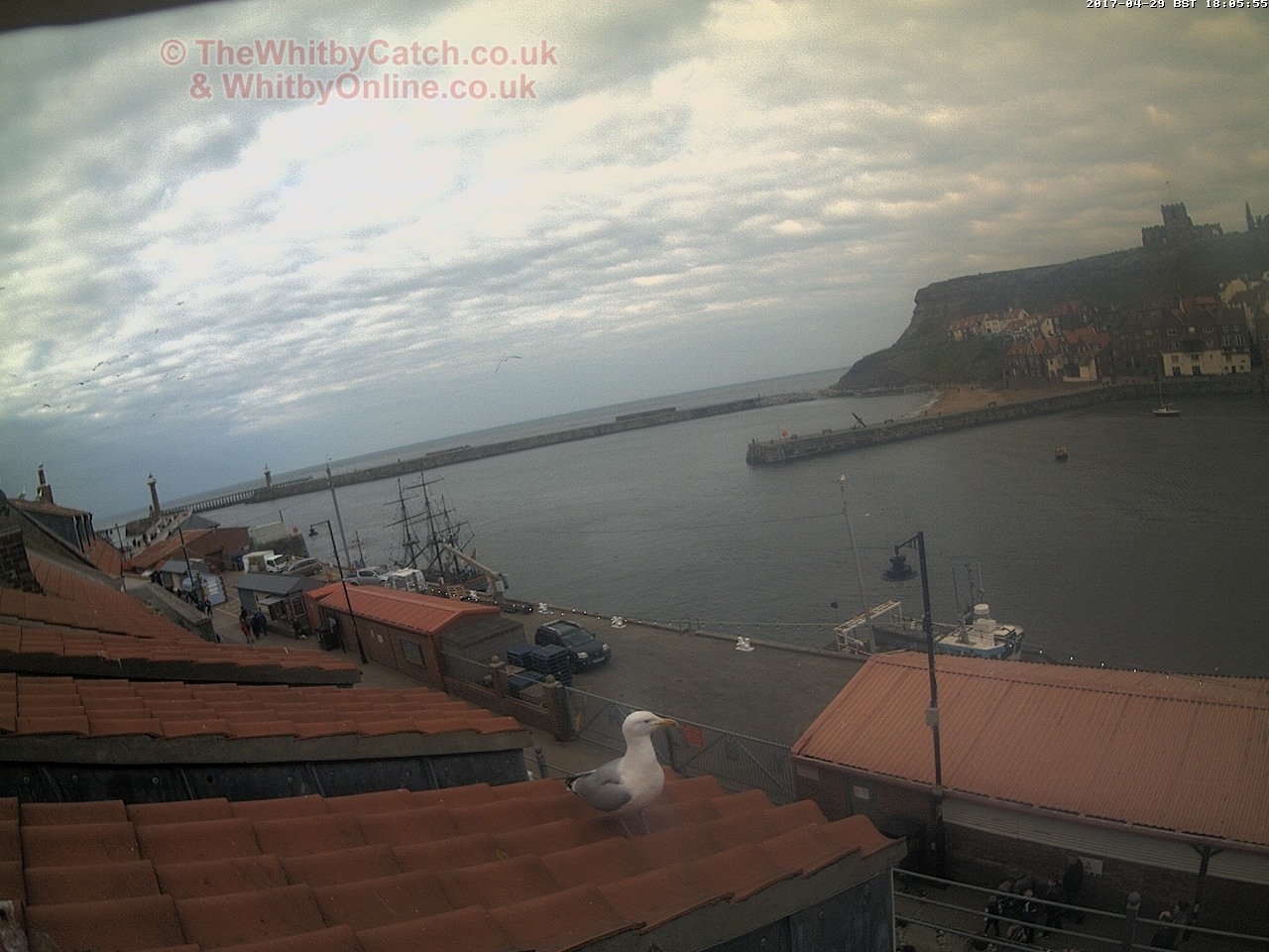 Whitby Sat 29th April 2017 18:06.