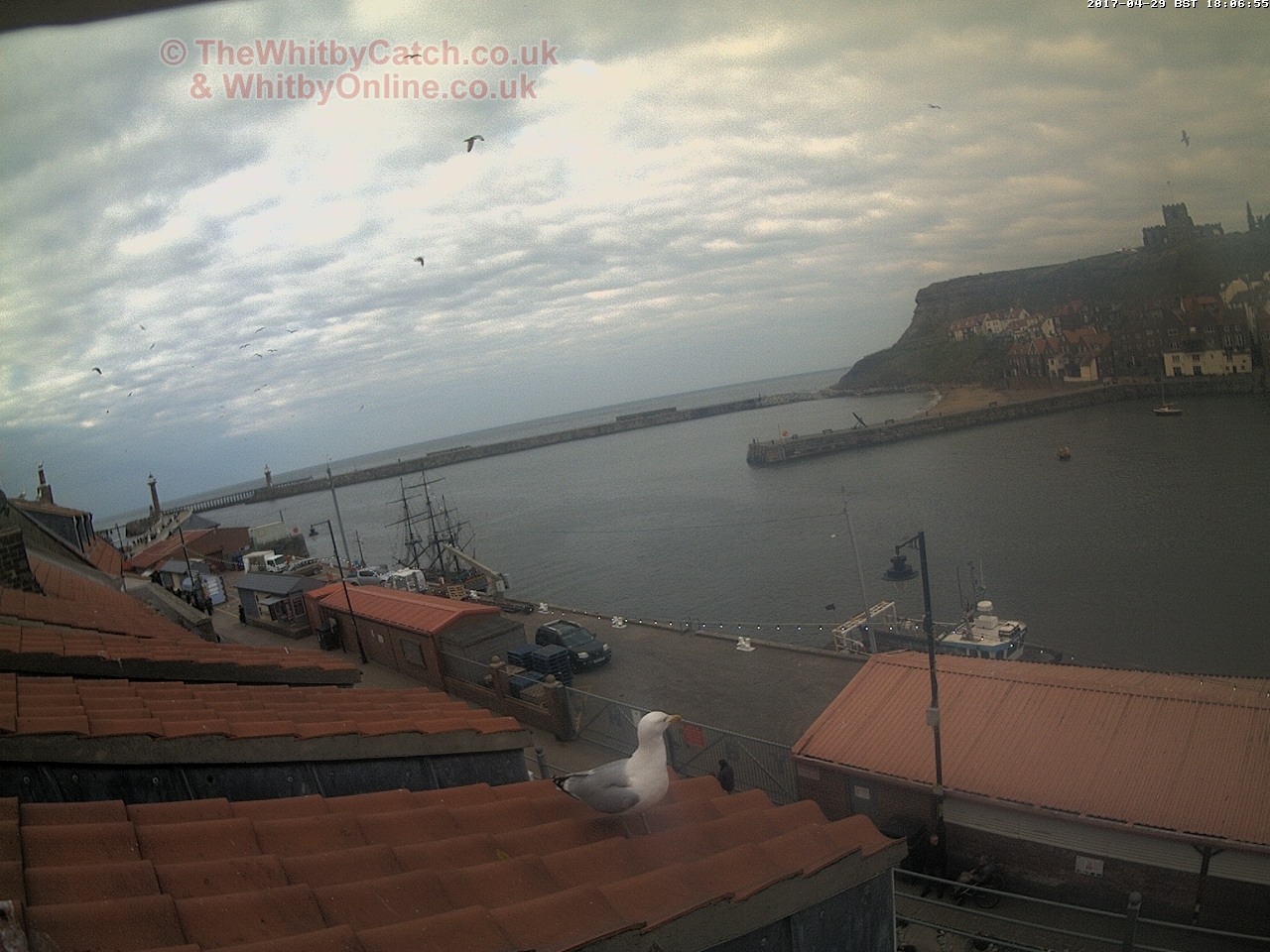 Whitby Sat 29th April 2017 18:07.