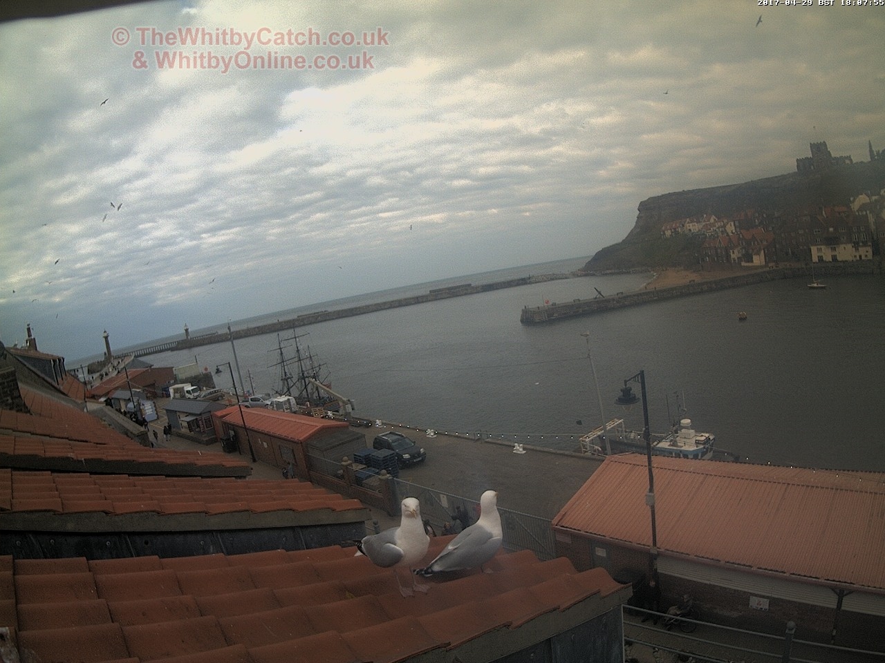 Whitby Sat 29th April 2017 18:08.