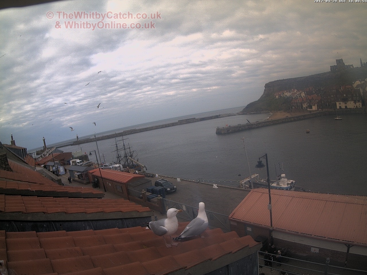 Whitby Sat 29th April 2017 18:09.