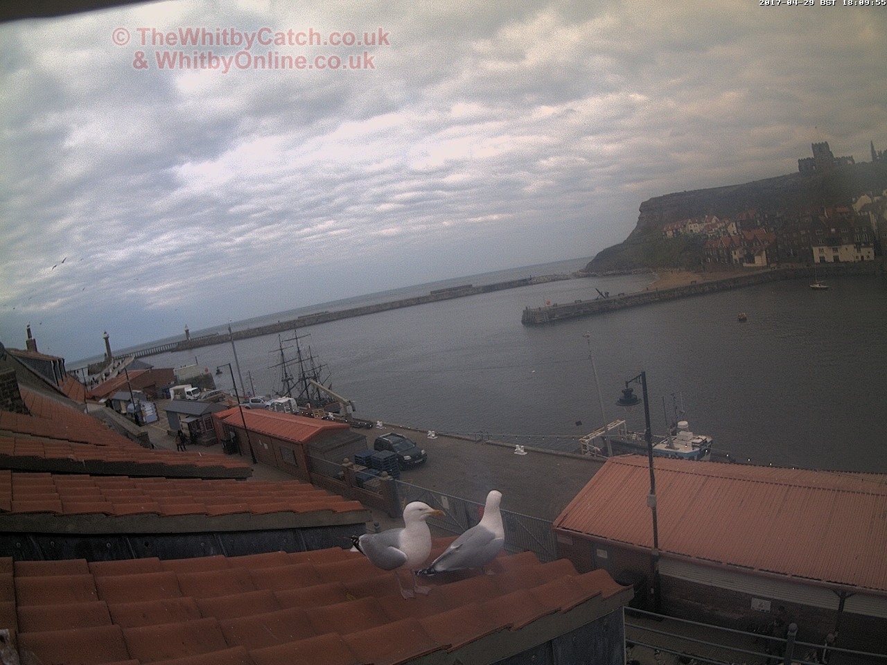 Whitby Sat 29th April 2017 18:10.