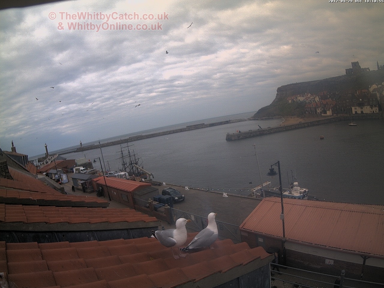 Whitby Sat 29th April 2017 18:11.