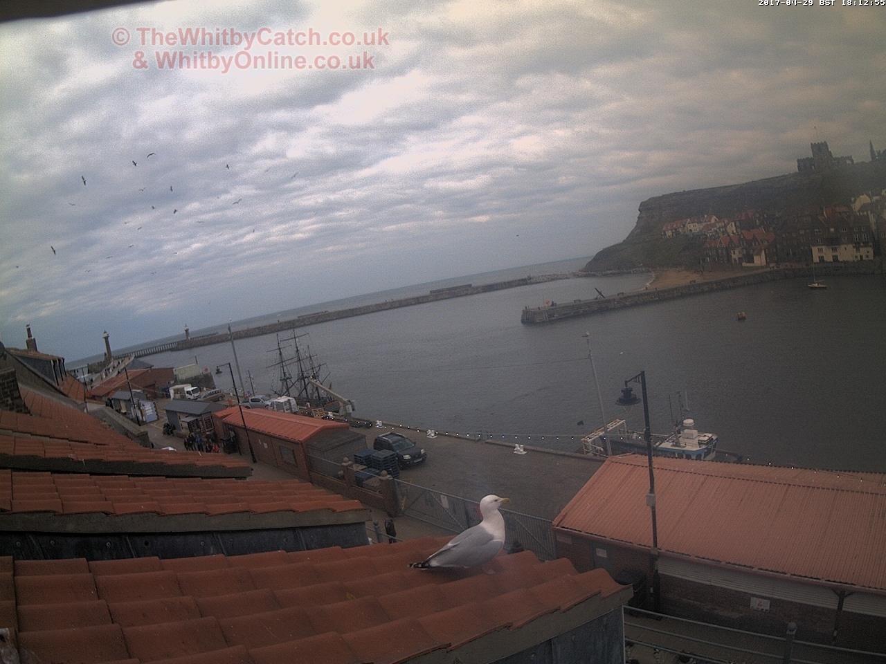 Whitby Sat 29th April 2017 18:13.
