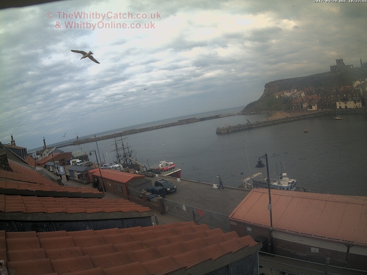 Whitby Sat 29th April 2017 18:23.