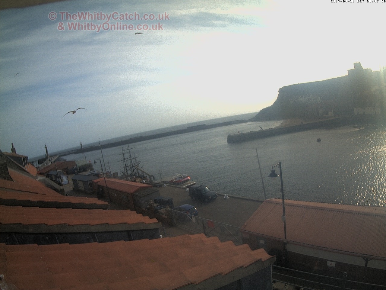 Whitby Sun 30th April 2017 08:48.