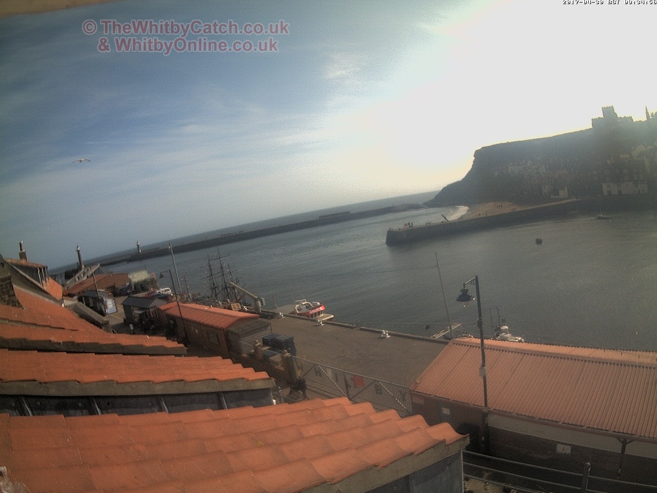 Whitby Sun 30th April 2017 09:35.