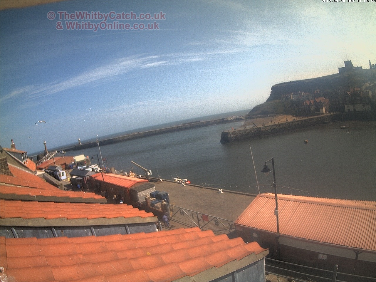Whitby Sun 30th April 2017 11:10.