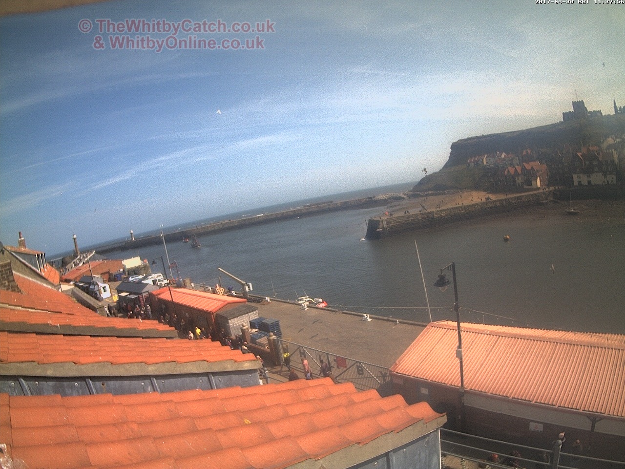 Whitby Sun 30th April 2017 11:38.