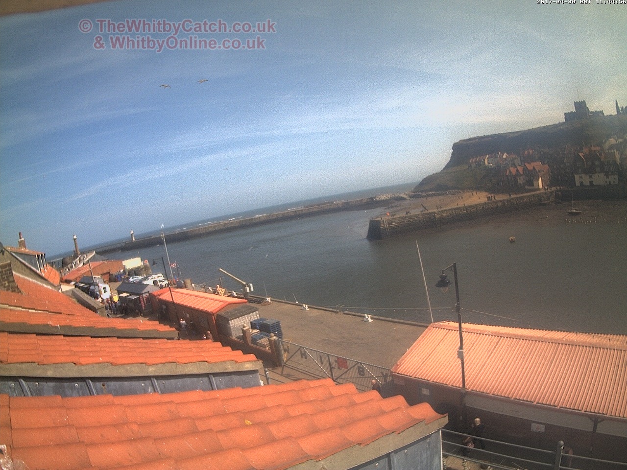 Whitby Sun 30th April 2017 11:45.