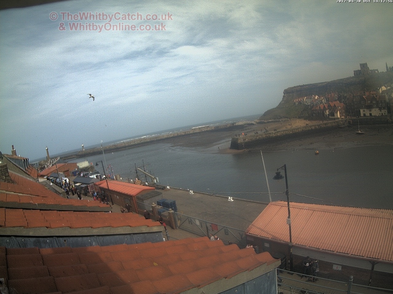 Whitby Sun 30th April 2017 14:13.