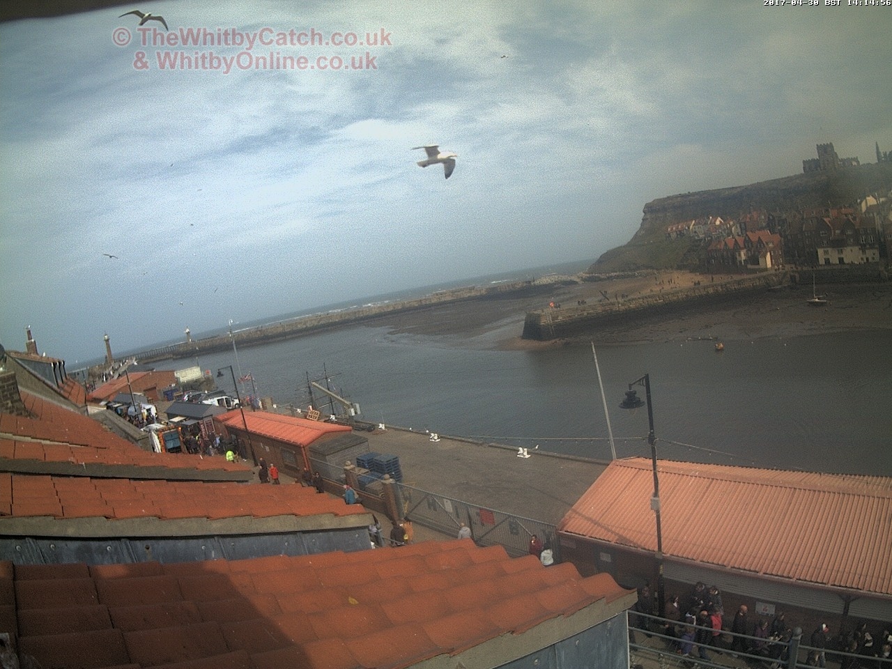 Whitby Sun 30th April 2017 14:15.