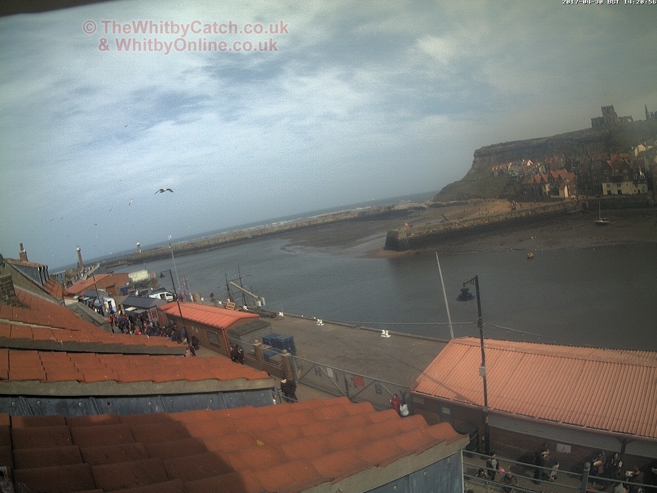 Whitby Sun 30th April 2017 14:21.